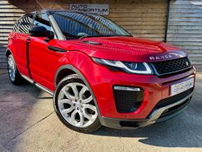 LAND ROVER RANGE ROVER EVOQUE at Auto Consortium Wimborne